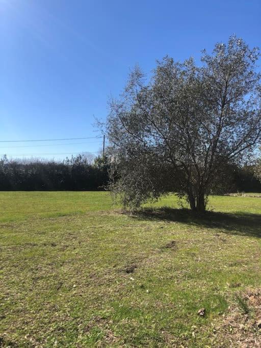 Gite La Lezardiere Acces Prive Canal Du Midi ** Castelnaudary Eksteriør bilde